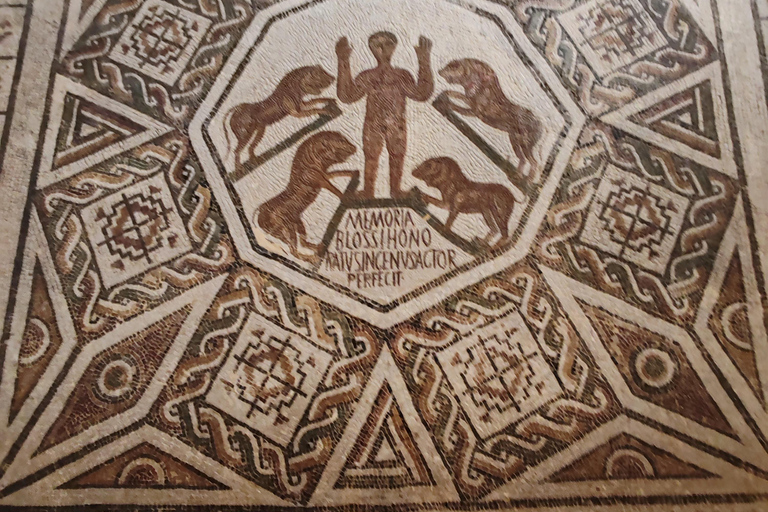 Tunis: Bardo Museum and Medina Guided Tour
