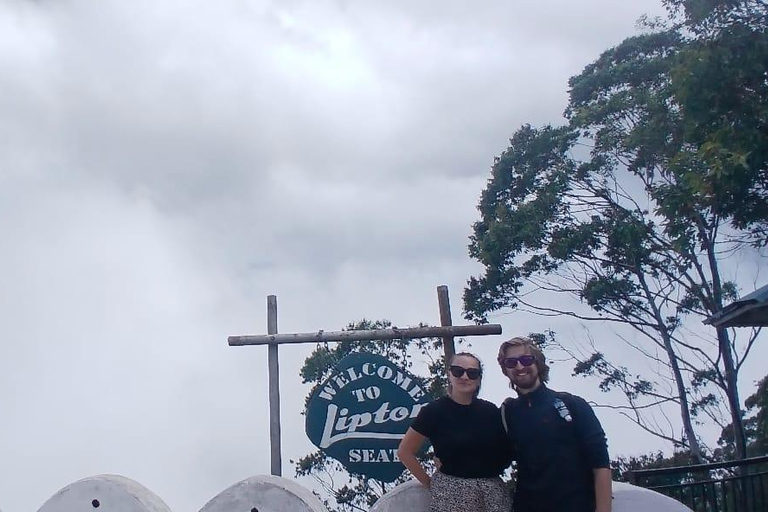 ELLA Lipton Seat Tea Test & Pluck 9Arch, Waterfalls, & Food Lipton's Seat, Little Adam Peak, 9 Arch, Ravana Waterfalls