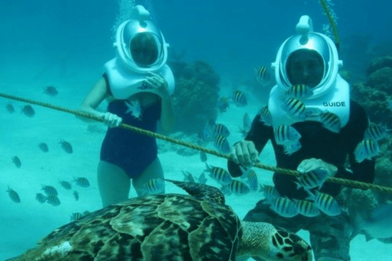 Underwater Sea Walking - Red Sea of Aqaba Underwater Sea Walking - Red Sea of Aqaba