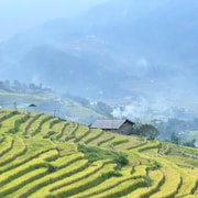 Sapa: 2-Day Valley Trek & Private Bungalow Stay Sapa: 2-Day Valley Trek & Private Bungalow Stay