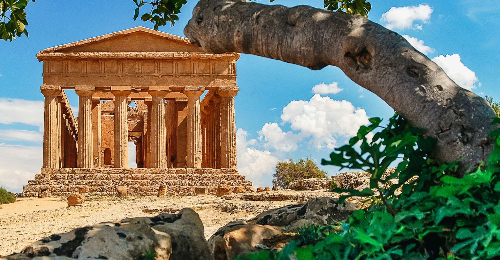 Palermo, Agrigento and the Valley of the Temples Day Tour - Housity