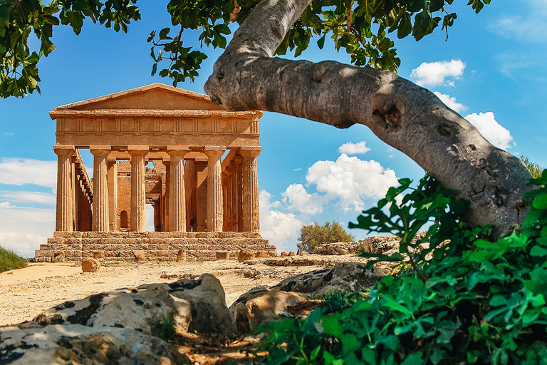 Palermo: Agrigento and the Valley of the Temples Day Tour
