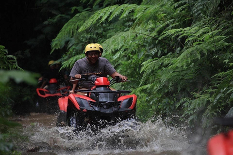 Ubud : Rice Teracces, Gorila Face ATV & RaftingPour les voyageurs en solo qui réservent cette