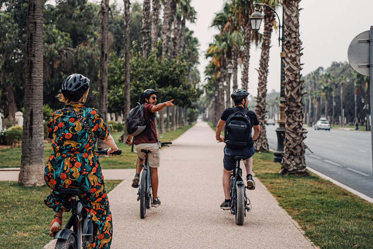 Agadir E-Bike Tour: Flamingos, nature & local stories Explore agadir by e-bike with shine n ride