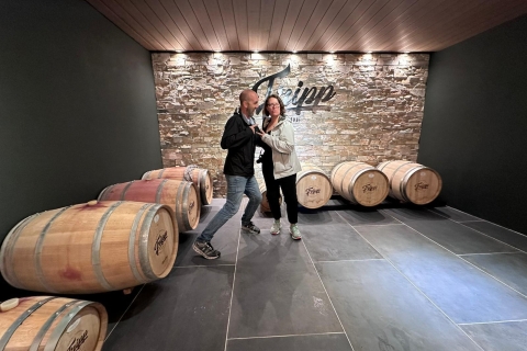 Expérience viticole de Colonia dans le plus ancien domaine viticole d'UruguayVisitez la plus ancienne cave de Colonia