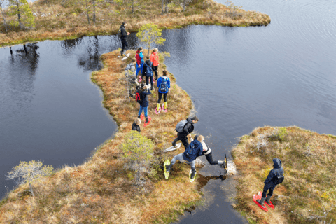 From Riga: Bog-Shoe Hiking Tour at Cenas or Ķemeri Bog