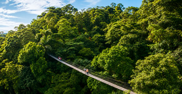 Rainforest Treasures: Arenal Volcano Hike & Mistico Bridges