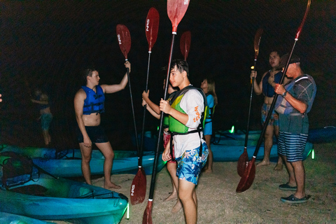 Orlando: Bioluminescence Kayak Tour
