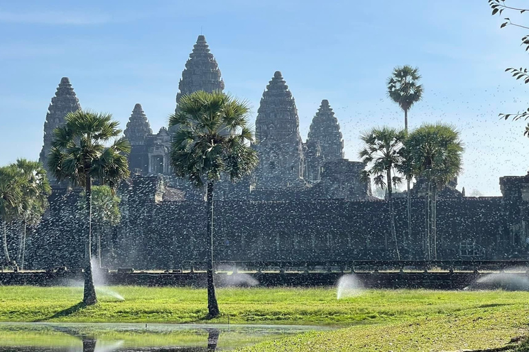 Excursão de um dia aos templos de Angkor Wat e à floresta de elefantes de Kulen