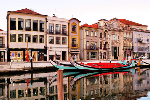 Lisbon to Porto with Óbidos-Nazaré-Fátima-Coimbra-Aveiro 3 STOPS