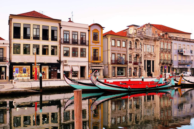 Lisbon to Porto with Óbidos-Nazaré-Fátima-Coimbra-Aveiro 3 STOPS