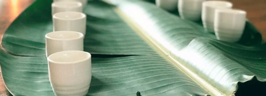 Delta de l'Èbre : visite et dégustation de miso artisanal fermenté