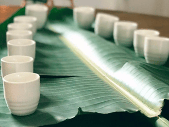 Visit Kensho in the Ebro Delta + Miso tasting