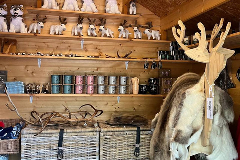 Helsinki: Reindeer Park & Nuuksio Nature Tour