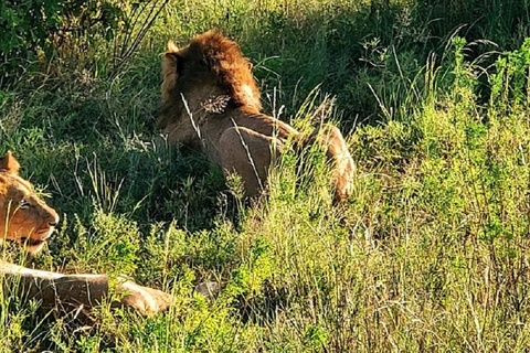 Nairobi: 3-Day Samburu National Reserve Safari Tour