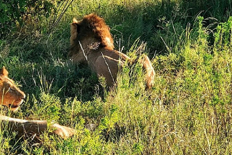 Nairobi: 3-Day Samburu National Reserve Safari Tour