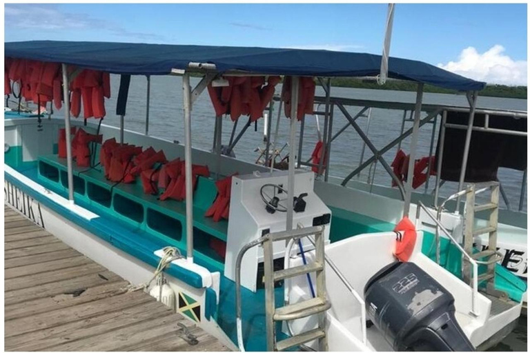 Luminous lagoon : Night Tour from Ocho Rios and Runaway Bay