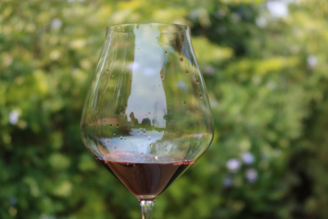 基加利：品酒体验全球葡萄品种深度解析