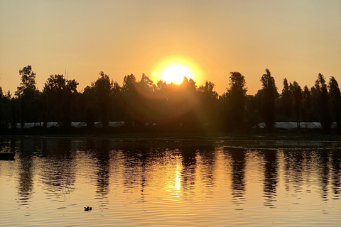 Xochimilco: Eco-tour gastronomico