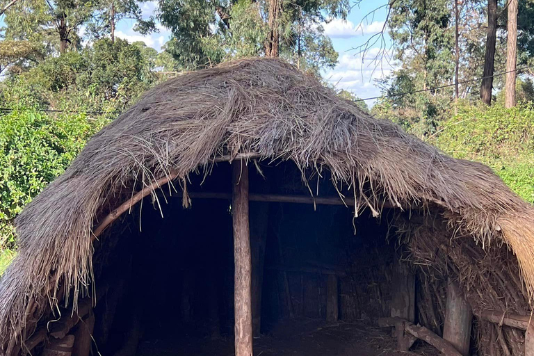 Experiencia Cultural Bomas de Kenia