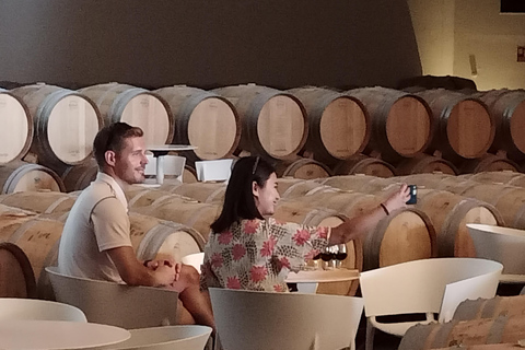 Rioja: Wine Tour with a Local Expert with Tastings