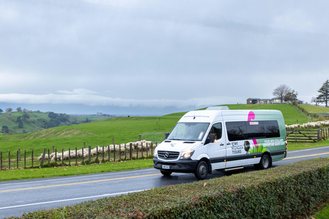 Waitomo Ruakuri Cave & Hobbiton: The Magical Discovery Tour