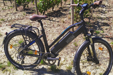 Royal Loire E-bike day: Amboise, Chenonceau & Wine Tasting