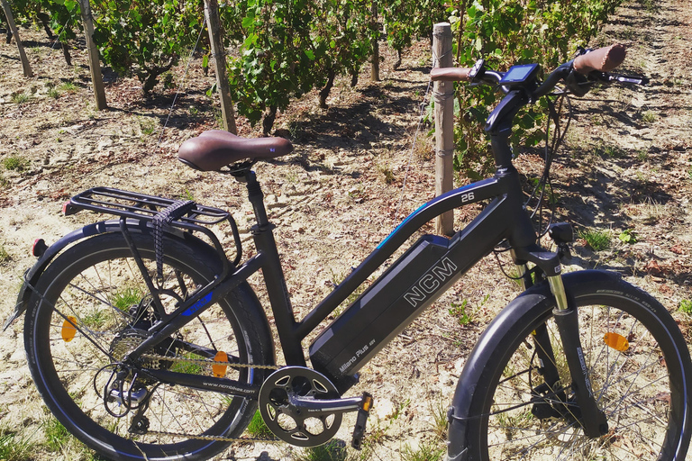 Royal Loire E-bike day: Amboise, Chenonceau & Wine Tasting