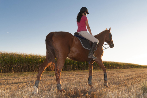 Ica : Randonnée à cheval dans le ranch La Caravedo