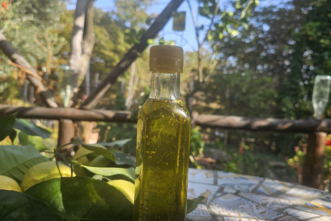 Mozzarella Gnocchi and Tiramisù Workshop in Amalfi Coast