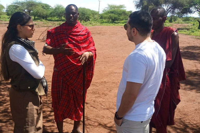 Nairobi: Amboseli National Park Day Trip with Lunch Luxury Landcruiser Option