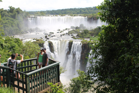 Experience the Brazilian Falls & Bird Park on a Guided Tour