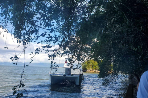 Puerto Plata: Samana, Bacardi Island, and Los Haitises Tour