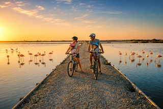 Comacchio: Sunset e-bike ride in the Po Delta with flamingos
