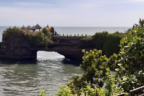 Bali: Danza Barong, foresta delle scimmie, Taman Ayun e Tanah Lot