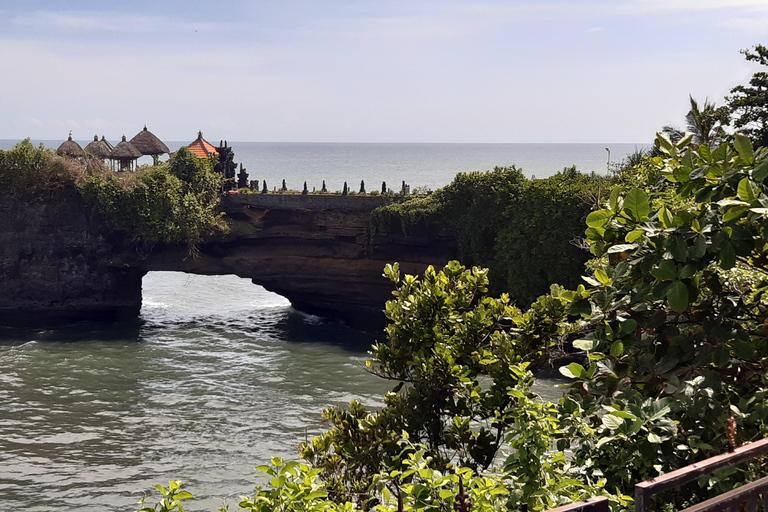 Bali: Danza Barong, foresta delle scimmie, Taman Ayun e Tanah Lot