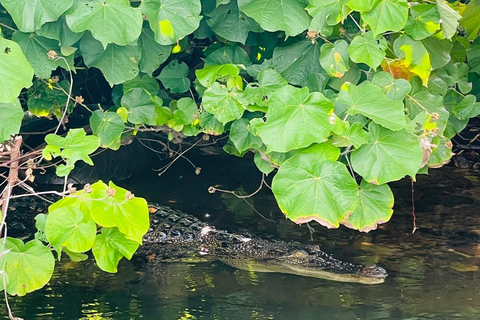 Colombo: Bentota Mangrove River Safari 6-8 Hour Tour