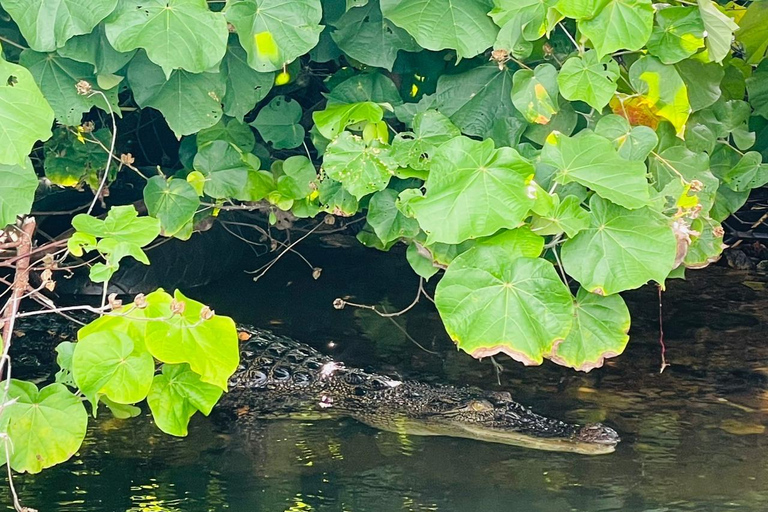 Colombo: Bentota Mangrove River Safari 6-8 Hour Tour