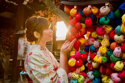 Kyoto/Nara: Exclusive Private Guided Tour with Hotel Pickup