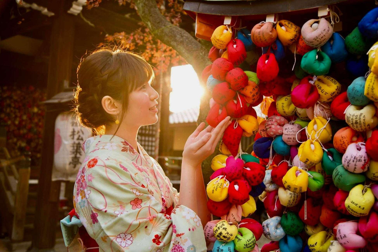 Kyoto/Nara: Exclusive Private Guided Tour with Hotel Pickup