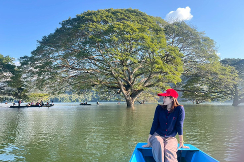 Chiang Mai: Wat Ban Den, Sticky Waterfall, & Rain Tree Tour Giant Rain Tree, Sticky Waterfall, Hiking at Moai Mountain