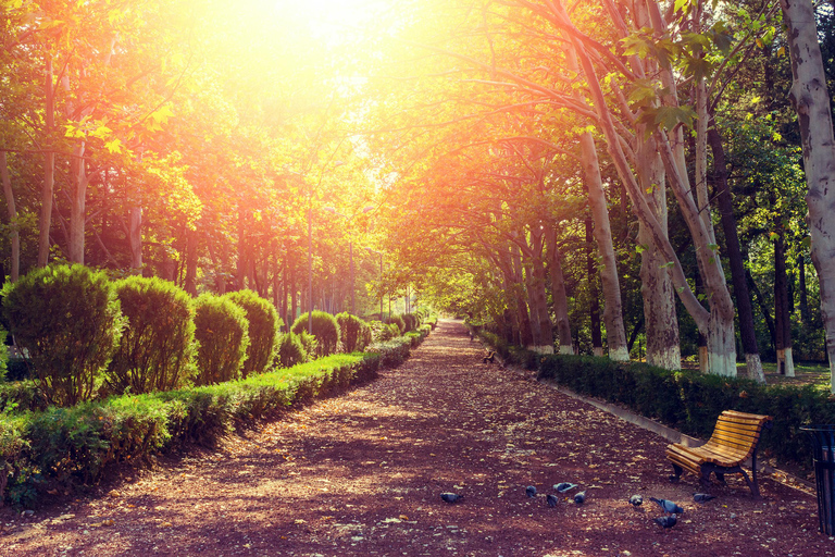 Tbilisi: Couples Romantic Walking Tour at Local FavoritesIn English - Private Tour ***3 HOURS***