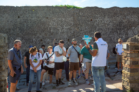 Pompeii: New Discoveries & Ancient Wonders Tour with Ticket Semi-Private Group max 8 people