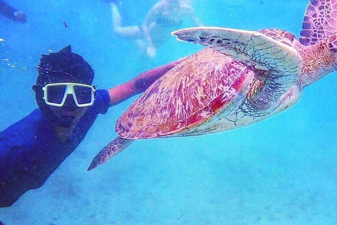 Amazing experience: Snorkeling with Turtles in Mirissa