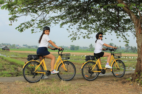 Ubud: Electric Bike, Jungle UTV & visit Chocolate factory Ebike Riding Meet In Meeting point include Lunch