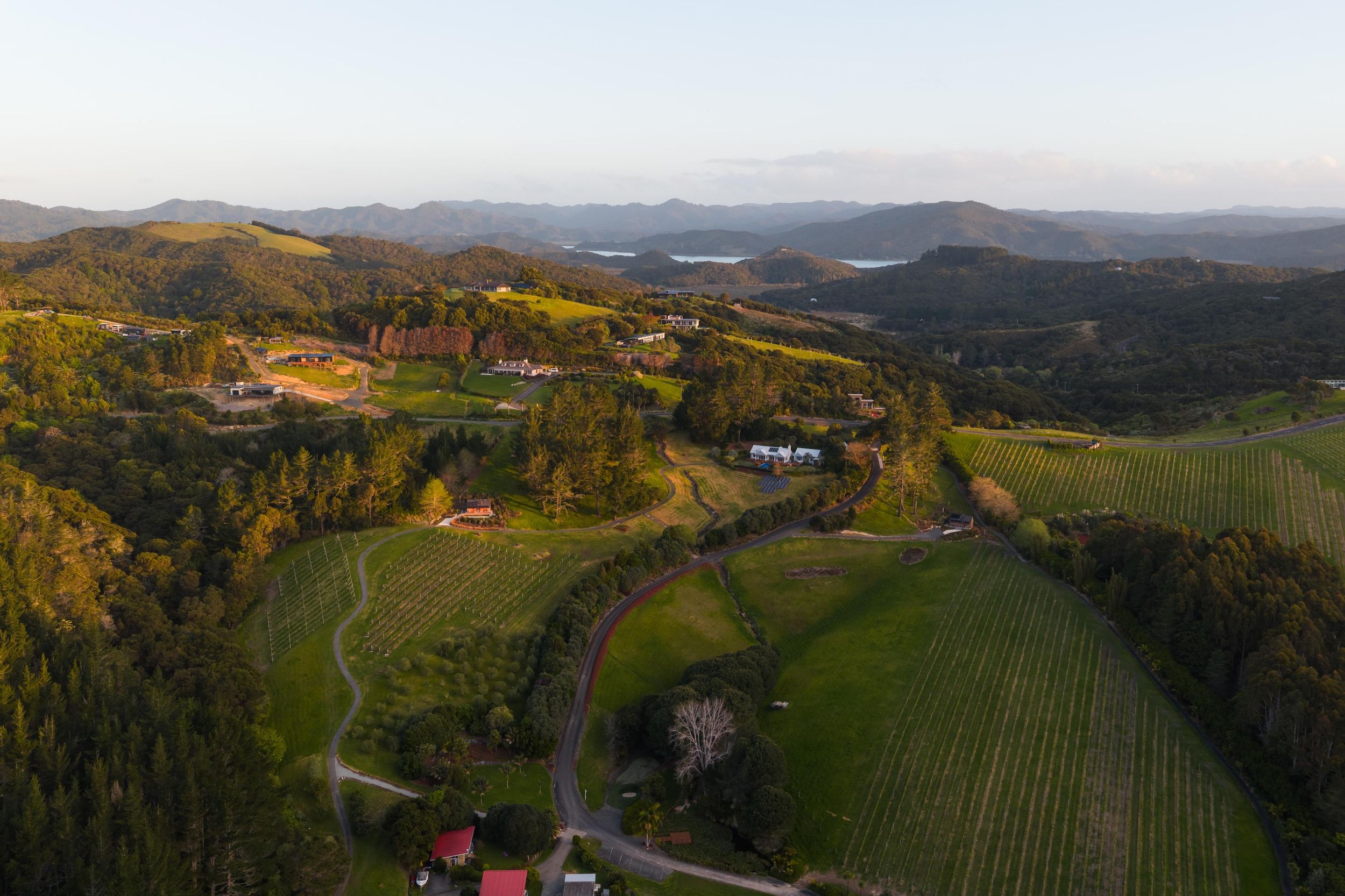 Russell: Paroa Bay Winery – Weinprobe und Häppchen