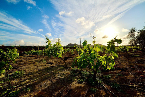 Fuerteventura: Wine Tasting and El Cotillo Afternoon Escape