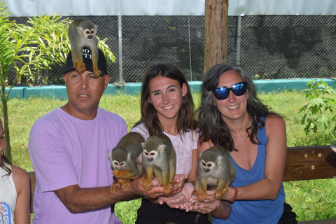 Monkey Tour Interaction and Historic Center (Puerto Plata)