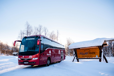 Polar Park Entry Ticket with transport from Tromsø