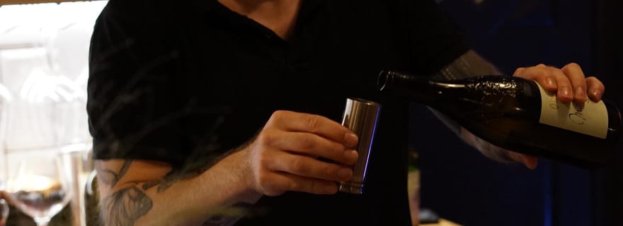 Dégustation de vins hongrois à 6 niveaux autour d'une table communautaire chaleureuse